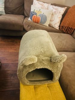 Small dog house! 10.00$