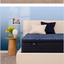 Queen mattress perfect sleeper Serta