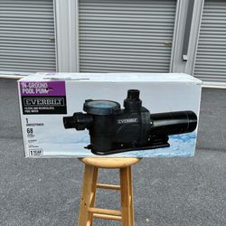 Everbilt 1 HP Pool Pump In Ground 2 Speed 230V Model SPP10002-2SP