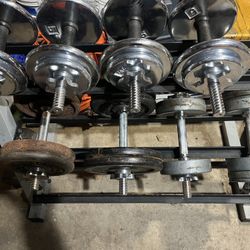 Various Dumbbell Weights 