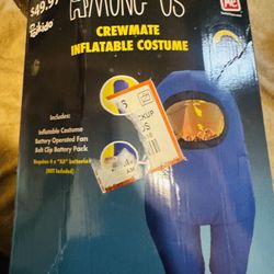 Costume