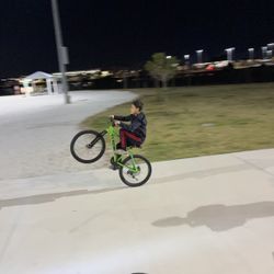 Wheelie/mountain Bike 