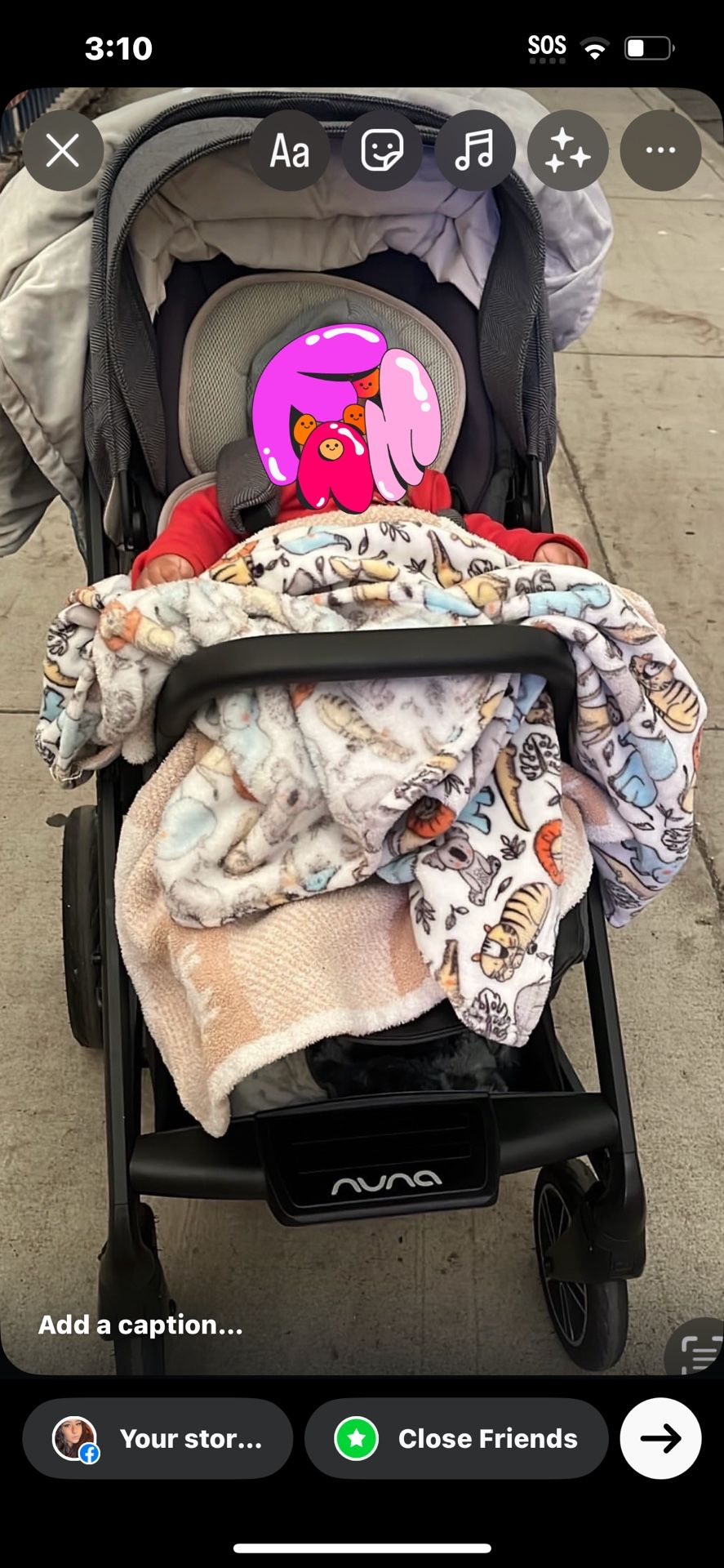 Nina Stroller