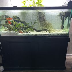 75 gallon tank with stand