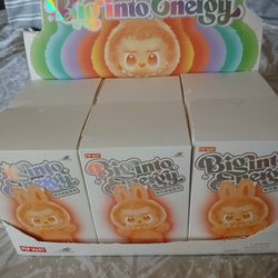Blind Box Labubu 