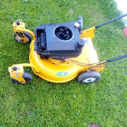 Cyclone Lawn Mower Needs Bag And Pull Rope 