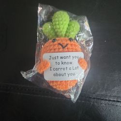 Super Cute Hand Made Crochet Carrot Message