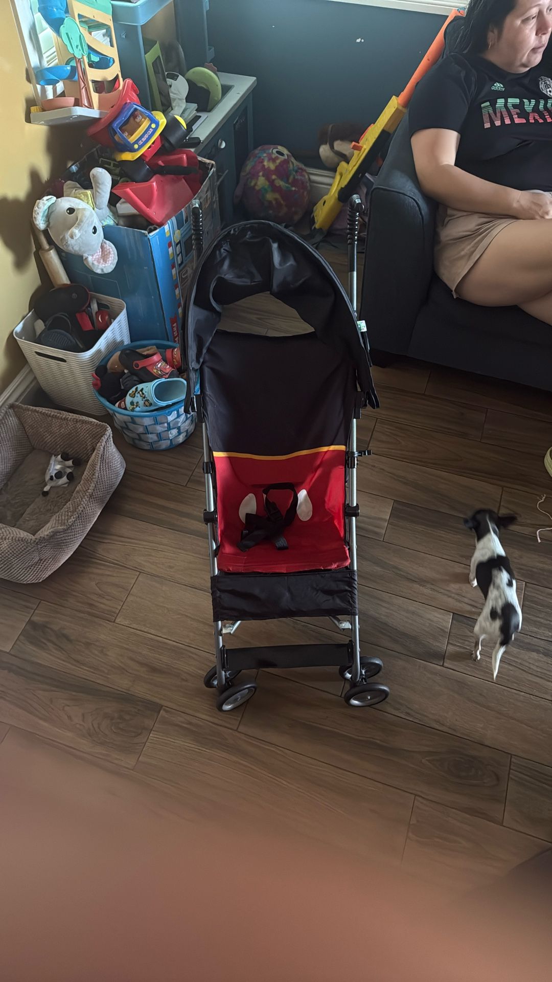 Mickey Stroller 