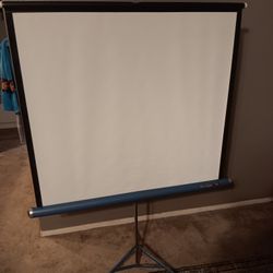 Da-lite 40×40 Projection Screen