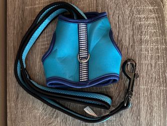 Blue XS Harness & Leash for Dog or Cat