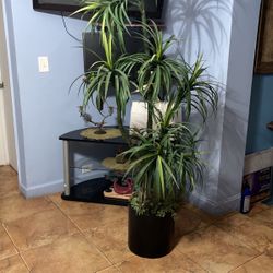 Planta Artificial