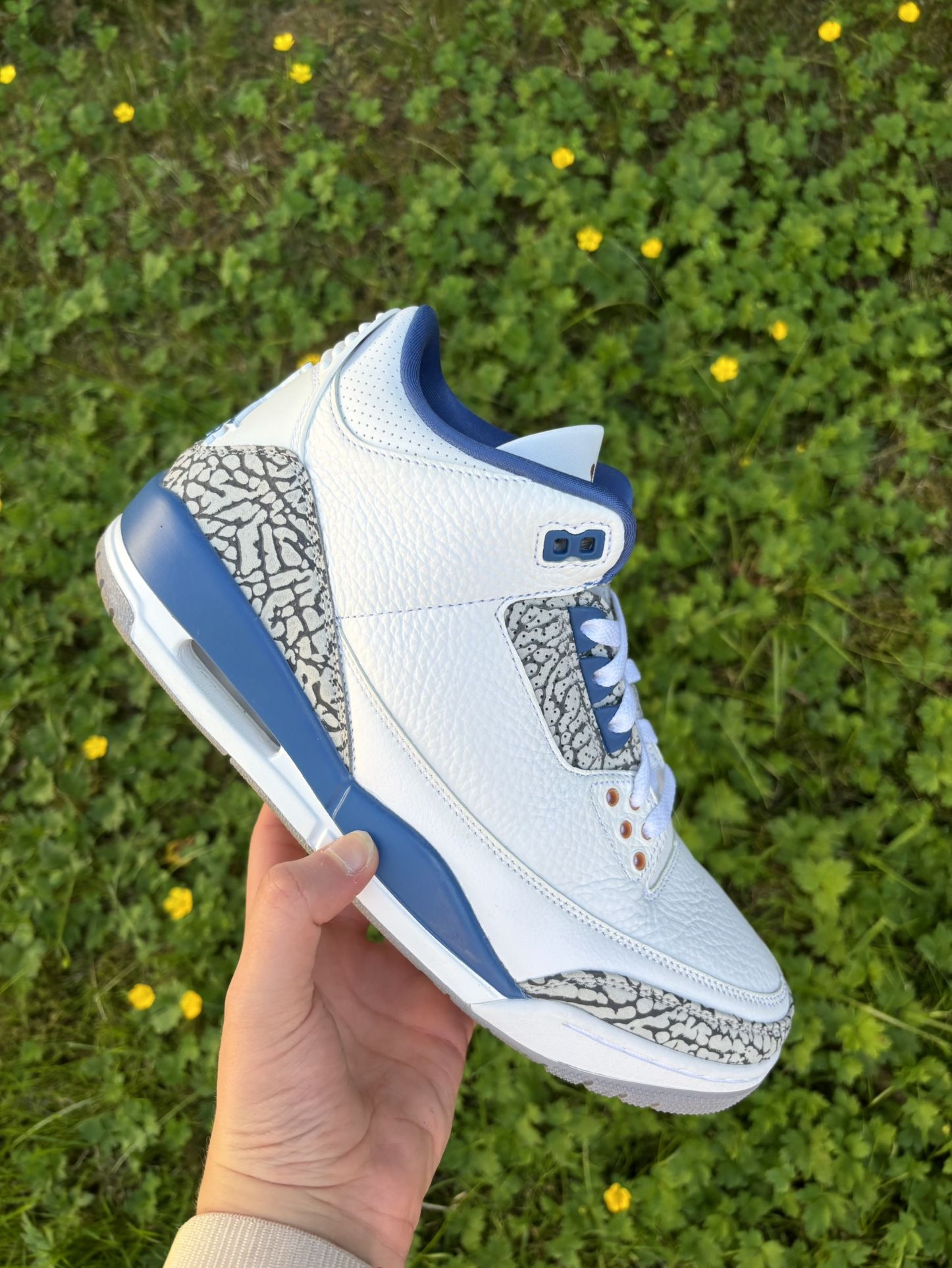 Jordan 3 Wizards