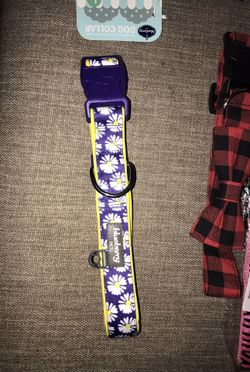 Dog Collar Size Large
