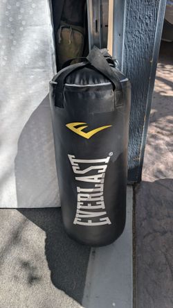 Everlast Punching Bag 40lbs