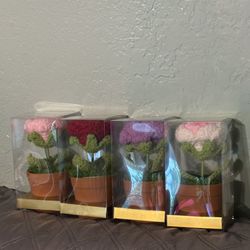 Flowers in Pot Bundle