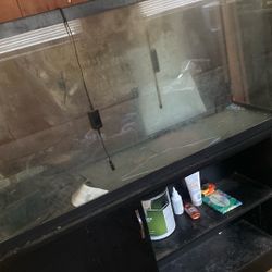 55 Gallon Fish Tank 