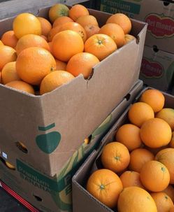 Oranges bags and boxea