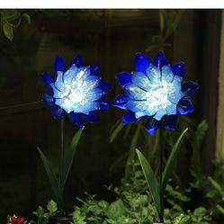 Roaming Light 2 Pack Solar Flower Stake Lights