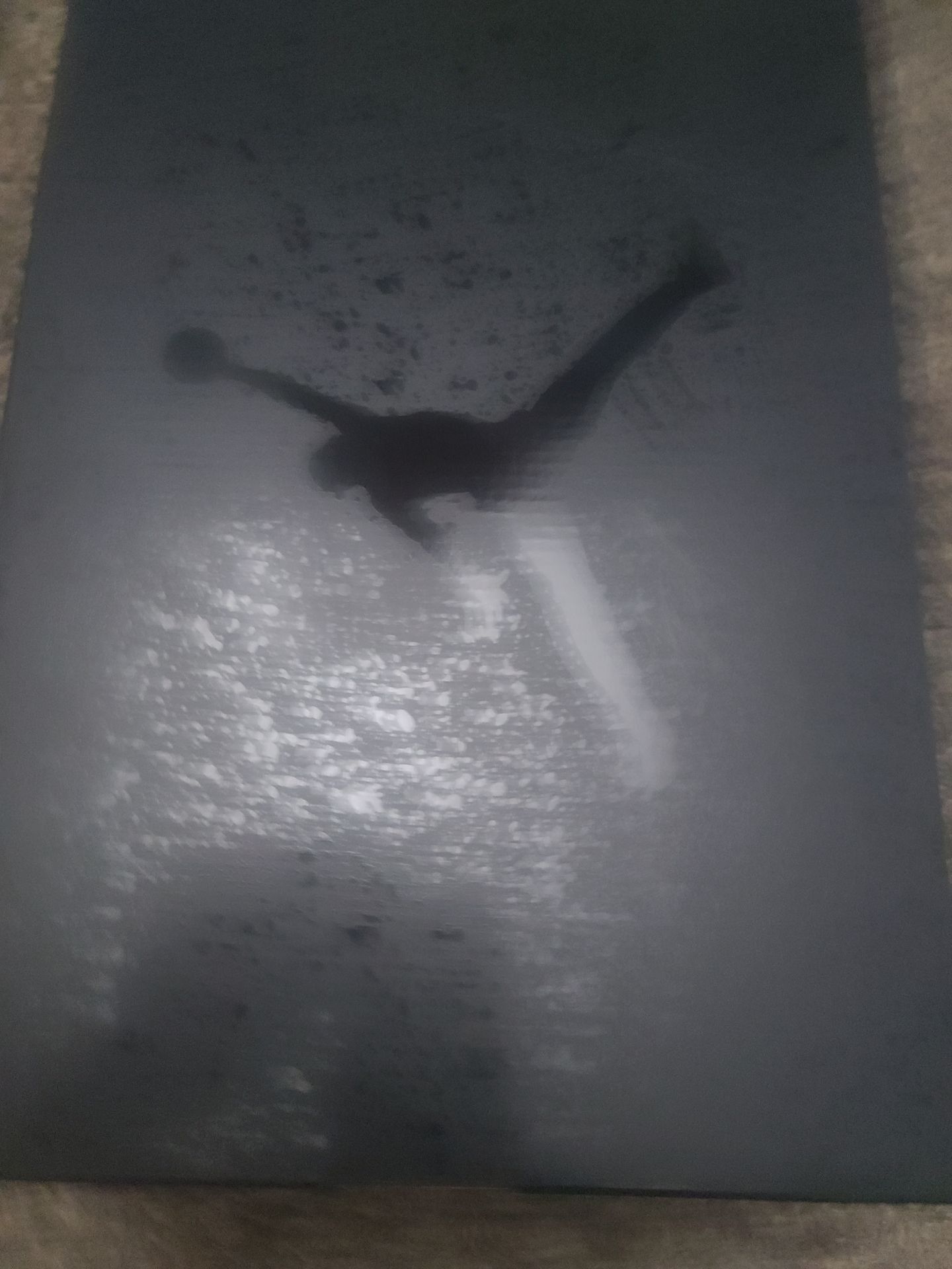 Black cat jordan 4 DS size 12