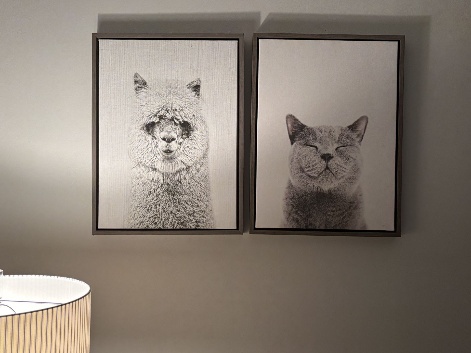 2 Framed Pictures