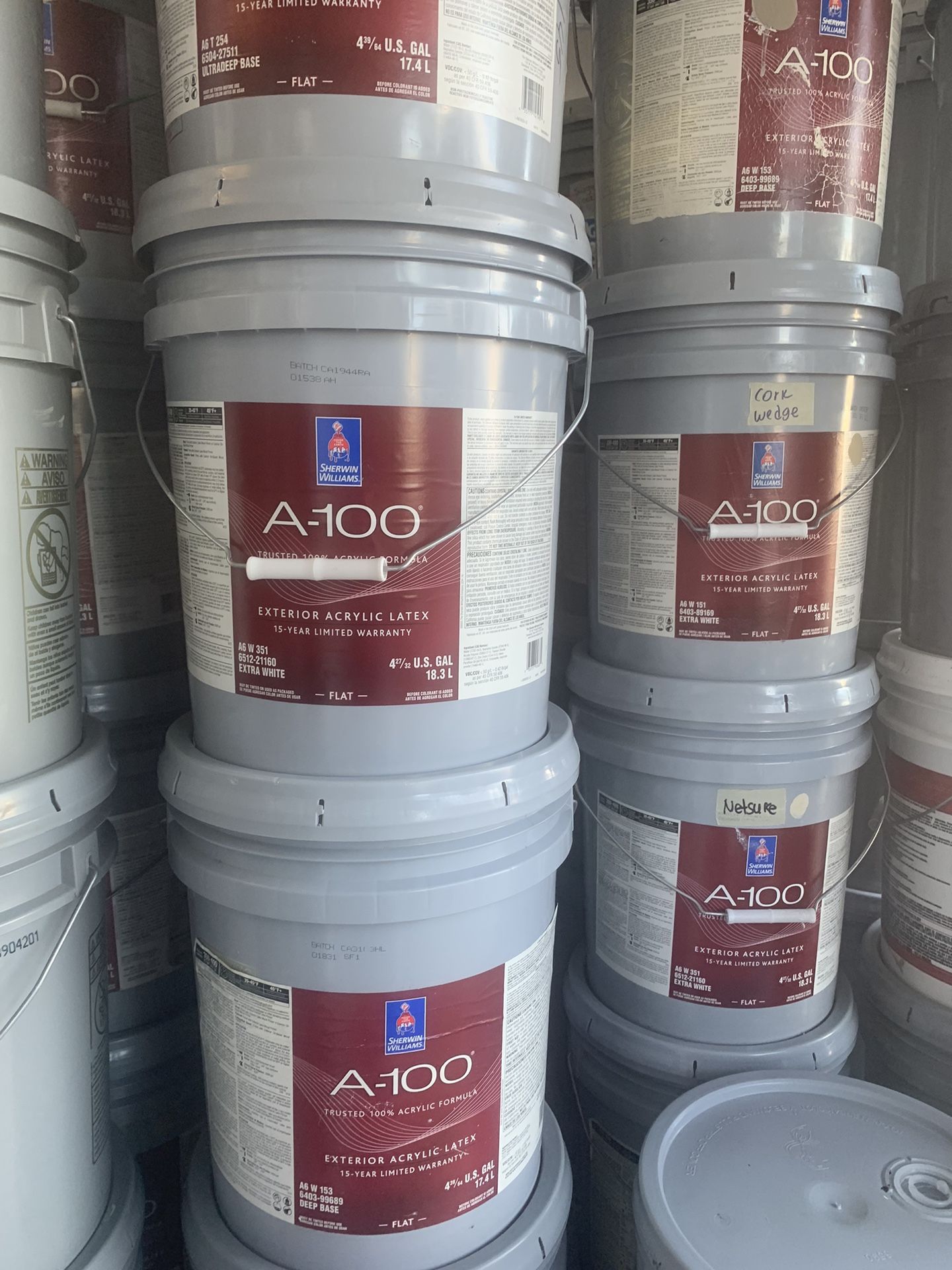 P.I. N. T. U. R. A. 💥. P. A. I. N. T