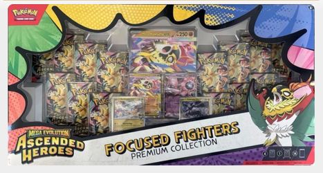 Focused fighters Pokemon