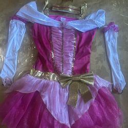 adult Princess sleeping beauty costume