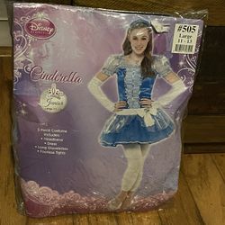 Disney Cinderella Costume 