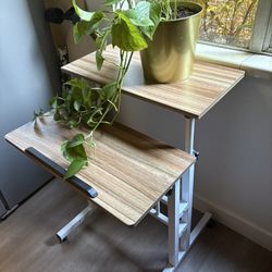 Standing Adjustable Desk 