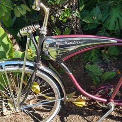 Schwinn Bike