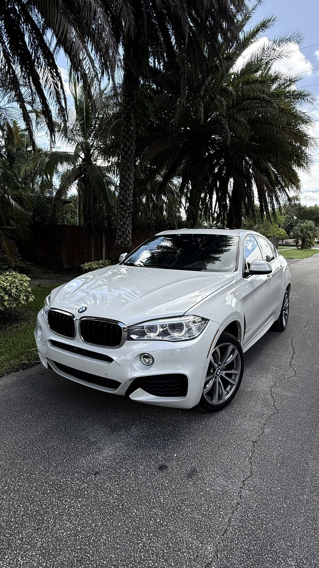 2019 BMW X6