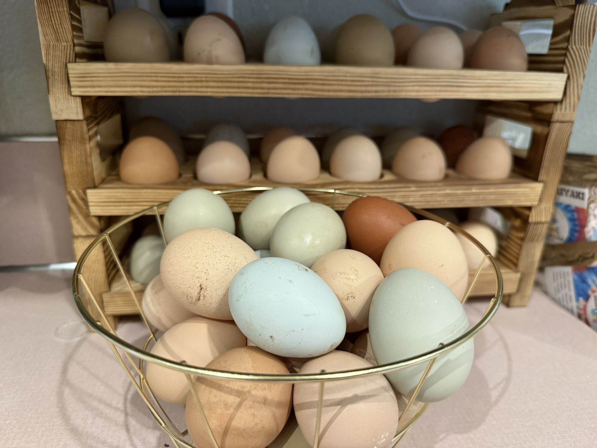 Organic Egg great for Eating and/or incubating
