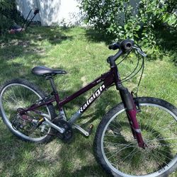 Raleigh mountain BIKE 26” wheel bicycle 