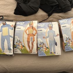 Bluey Costumes 