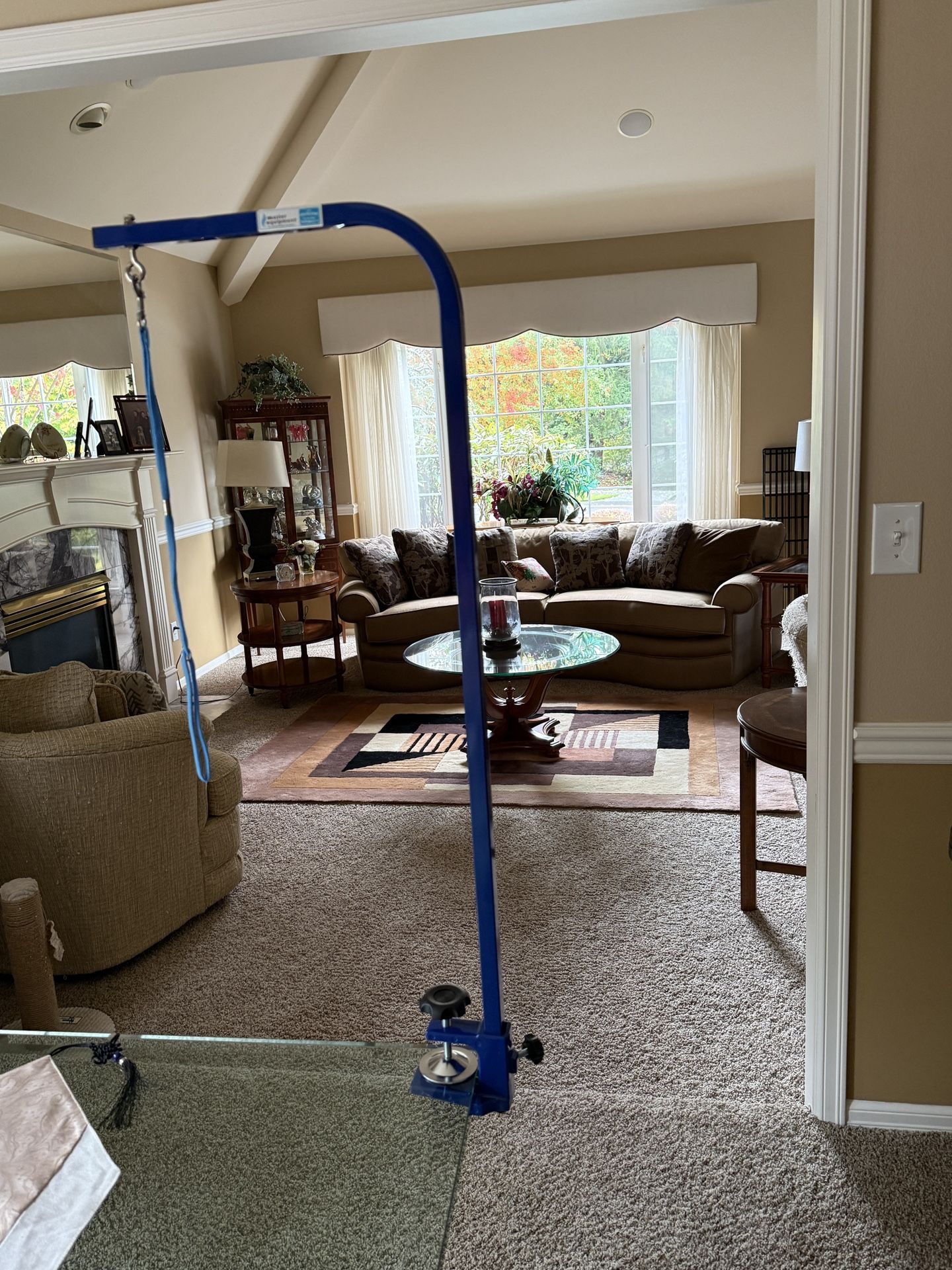 Dog Grooming Arm With Clamp