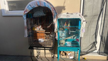 Cages for sale different sizes , RING NECKS , COCKATOOS