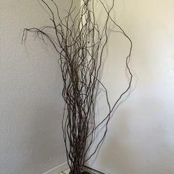 Dried Willow Branches (for decor)