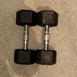 2 15lb. Dumbbells 