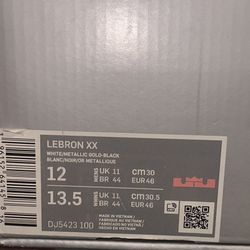 LeBron XX SIze 12