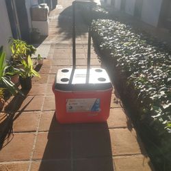 Colman Cooler / 60 Quart , 95 Cans