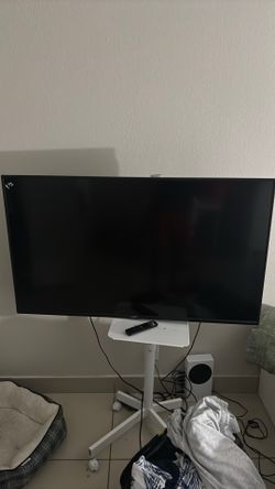 50 in + TV