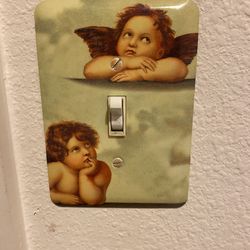 Light Switch Cover