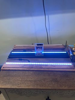Card lighted stand