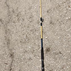 Saltwater Shakespeare Fishing Rod