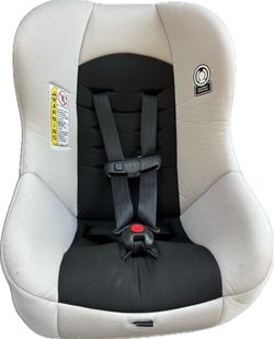 Cosco Scenera NEXT (CC254-FWM)