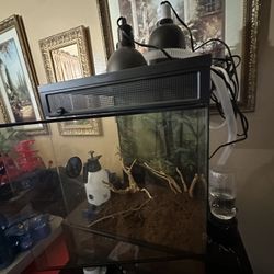 Chameleon Enclosure 