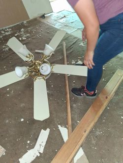 Ceiling fan