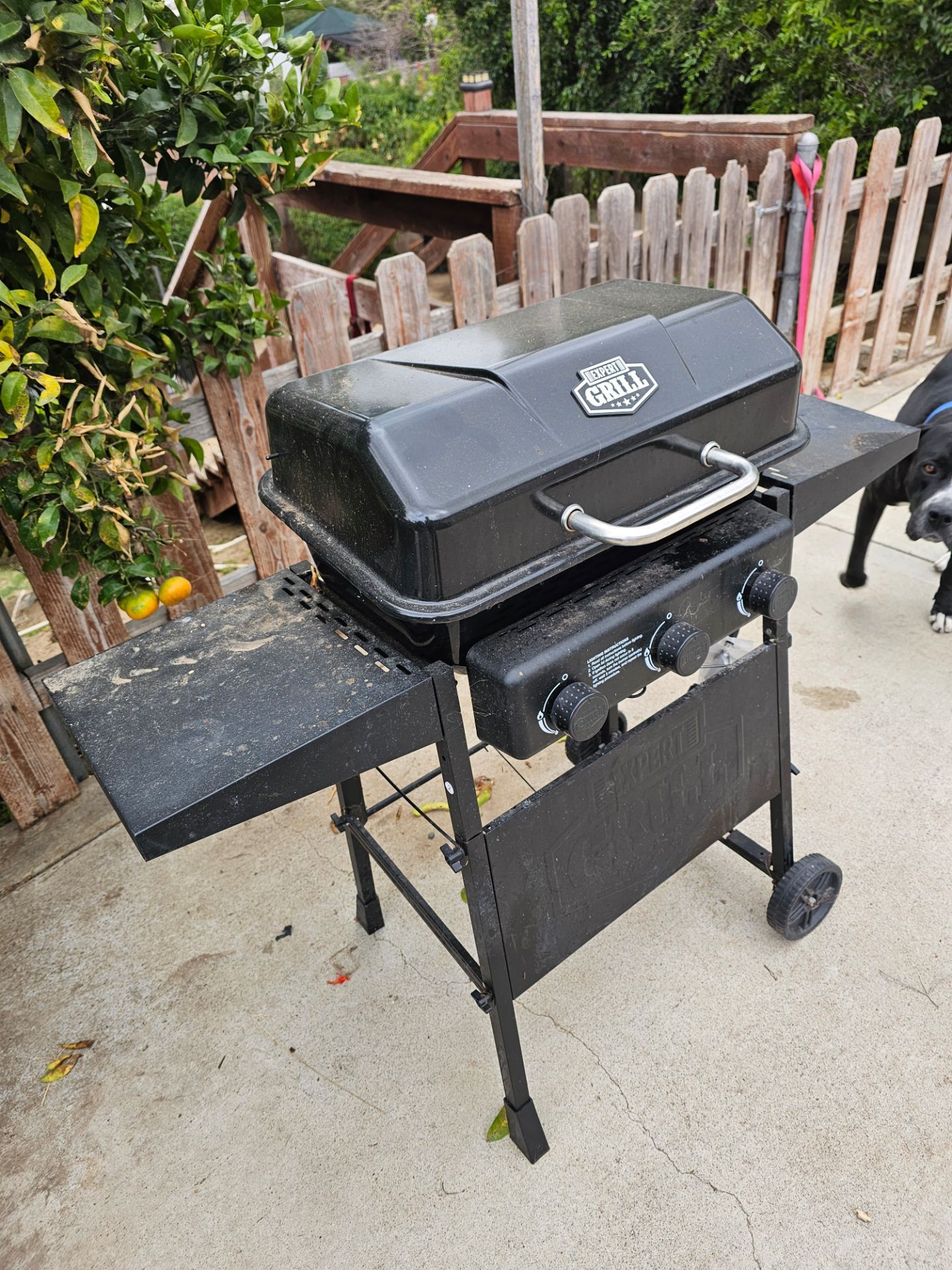 Expert Grill 3 burners