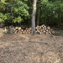 Wood 🪵 For Sale