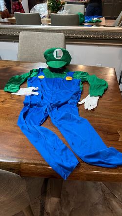 New Luigi Costume